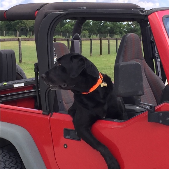 Meet your Posher, Jennifer - Picture 1 of 1